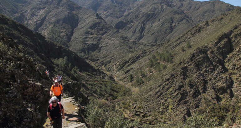 Foto en color que presenta a un grupo de senderistas ascendiendo por un camino antiguo, abierto en una ladera de un valle montañoso, en el norte de Extremadura