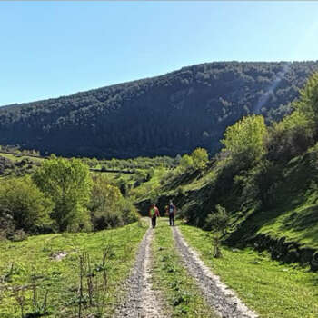 Fotografía en color que presenta a dos senderistas progresando por un camino, en un paisaje de colinas cubiertas de bosque