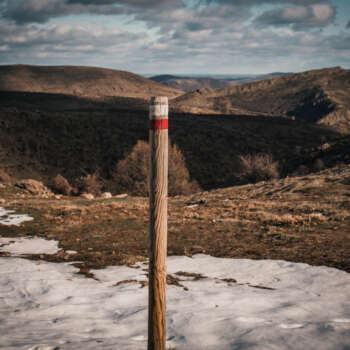 _ZUR8596